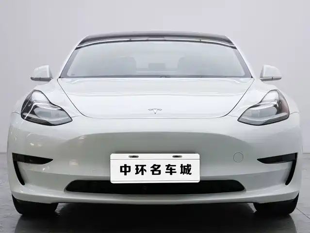 Tesla Model 3 2019 Standard Range Rear-Wheel Drive Upgrade — фото 4