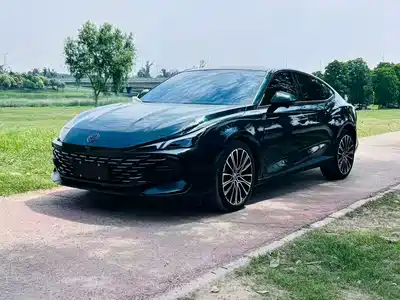 MG 7