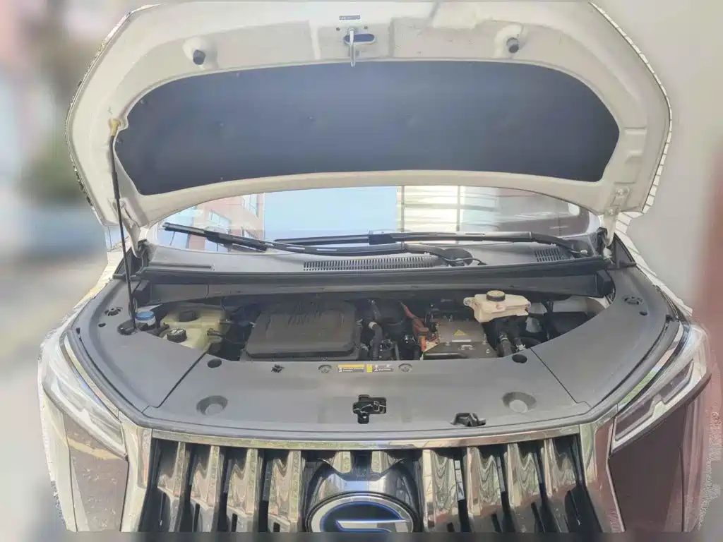 GAC Trumpchi Trumpchi E9 2023 2023 E9 Grandmaster