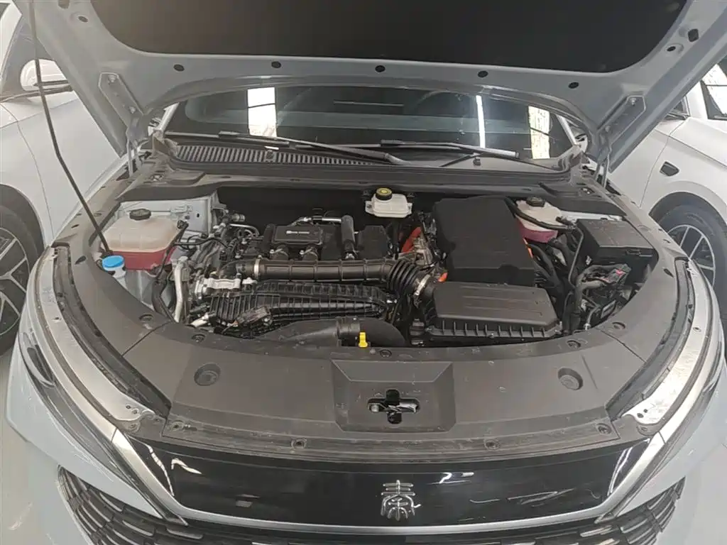 BYD Qin L 2025 DM-i Smart Drive Edition 120KM Surpassing фото 20