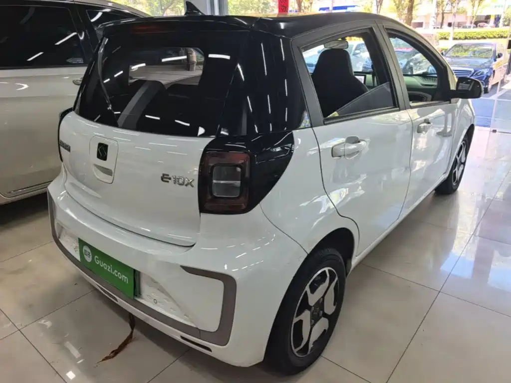 Sehol Flower Fairy 2023 2023 Anniversary Edition 301km Sunflower 36kW