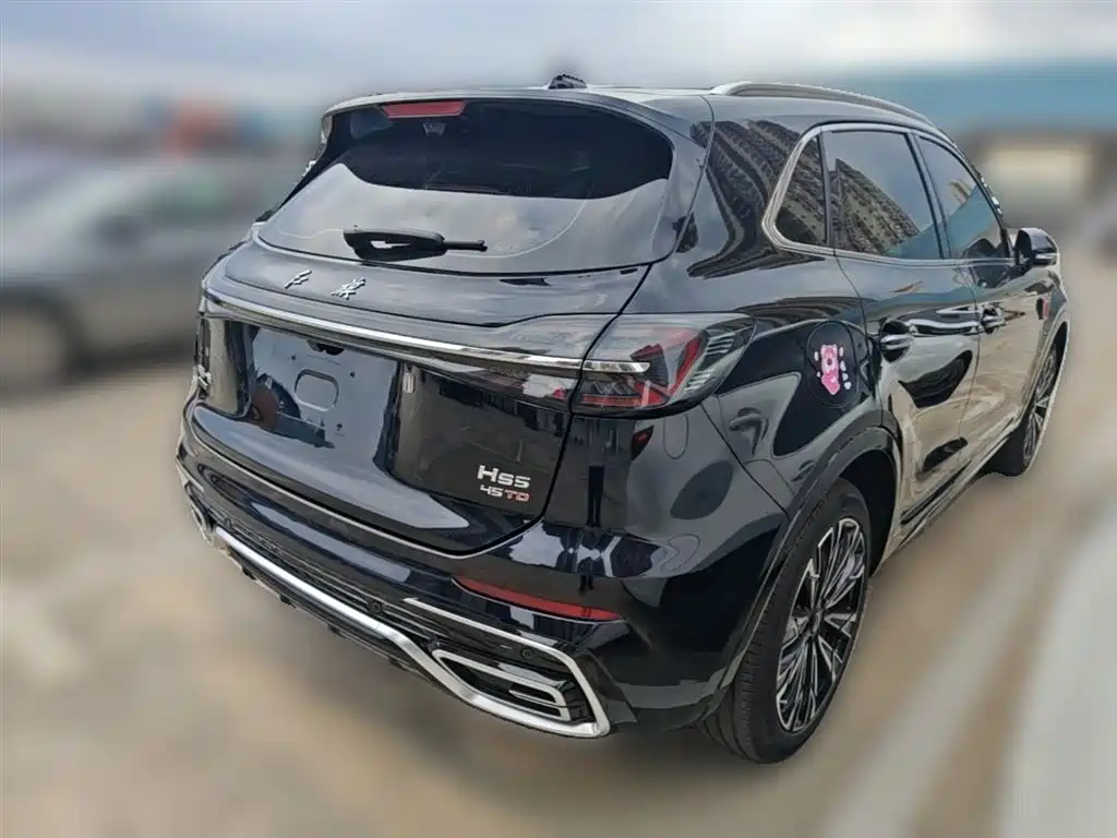 Hongqi HS5 2023 2.0T AWD Flag Enjoy Pro Edition фото 12
