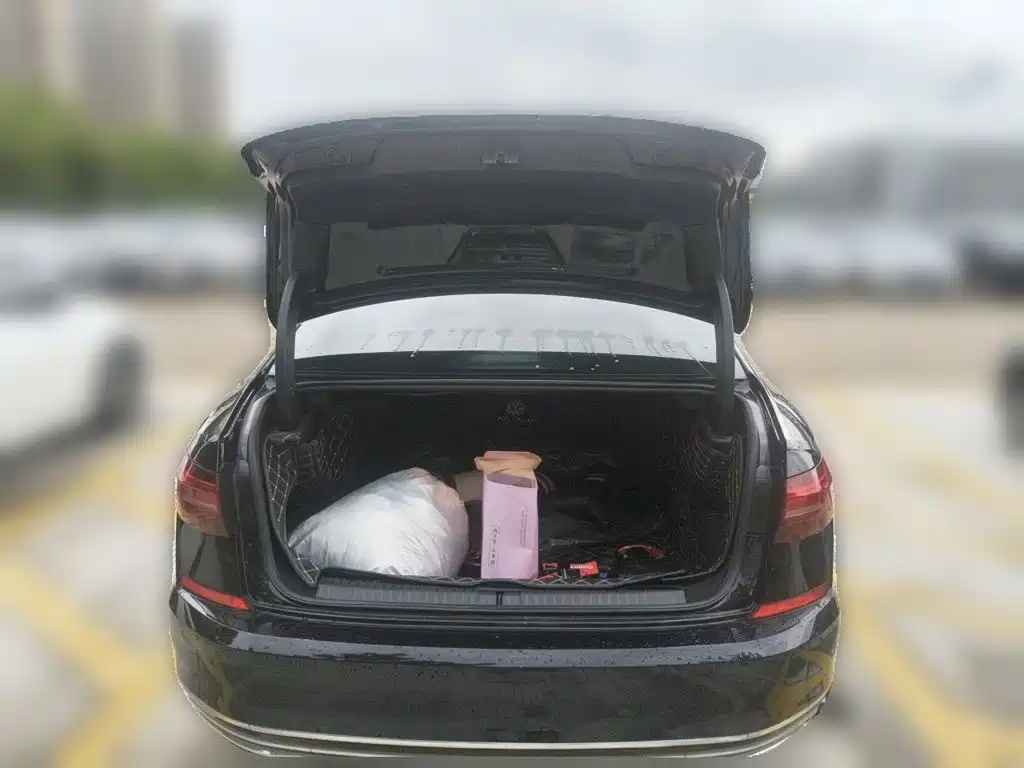 Photo 10 - Volkswagen Passat