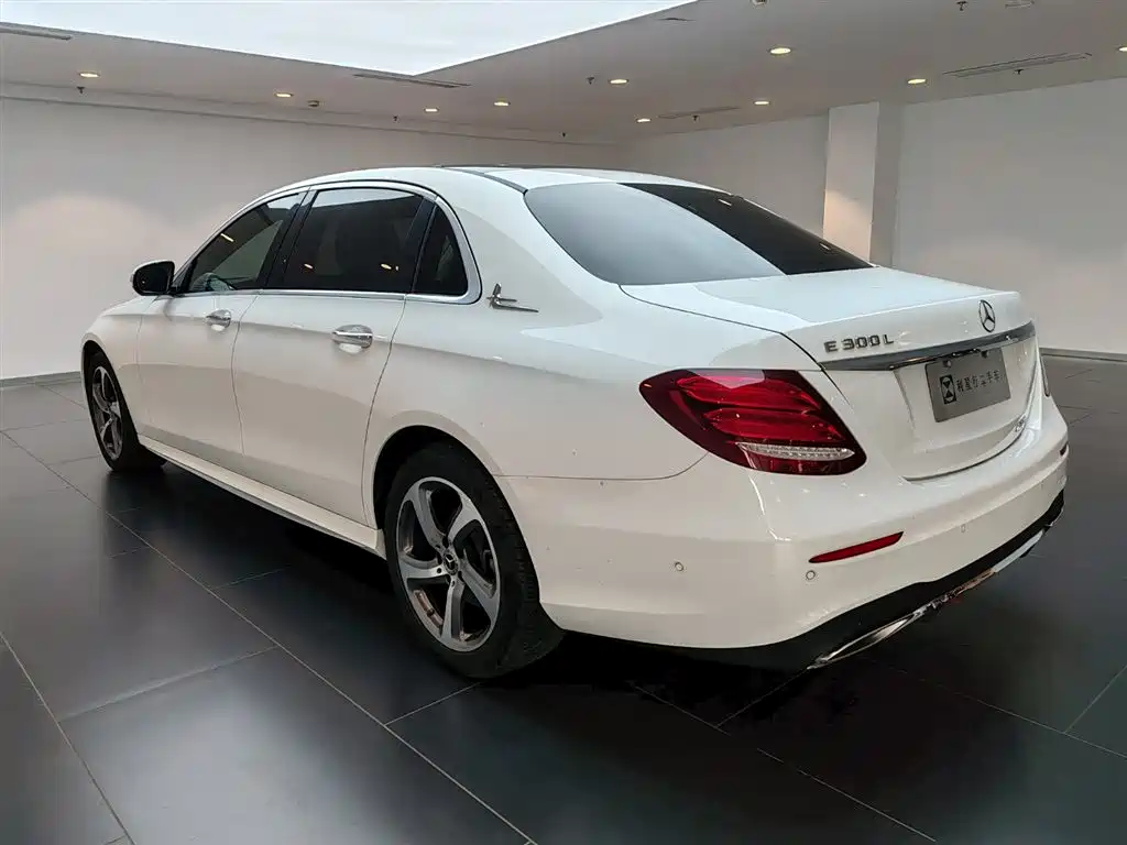 Mercedes-Benz E-Class 2019 E 300 L Sport Fashion фото 6