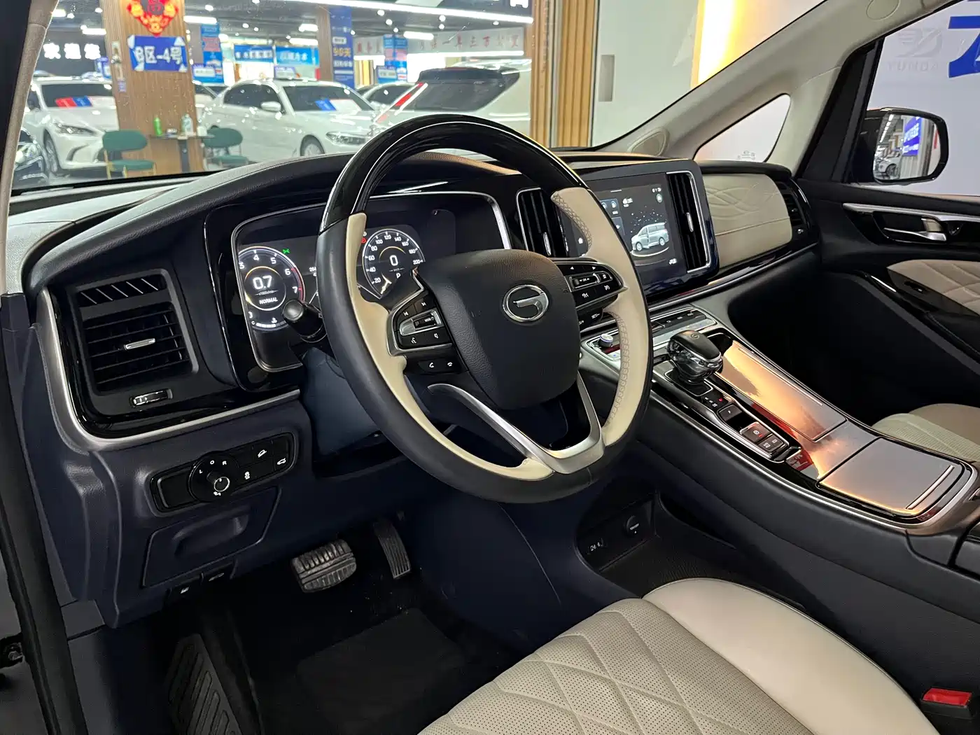 GAC Trumpchi Trumpchi M8 2021 Master Series 390T 4-Seat Premium Edition фото 10