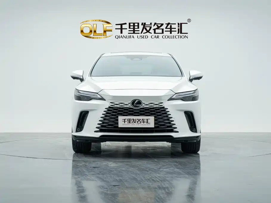 Фото 6 - Lexus RX