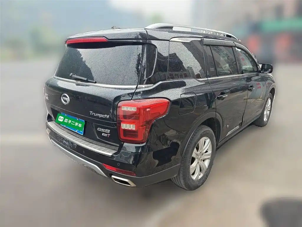 GAC Trumpchi Trumpchi GS8 2017 320T 2WD Luxury Edition (7-Seater) фото 5