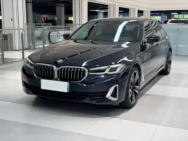 BMW 5 Series New Energy 2021