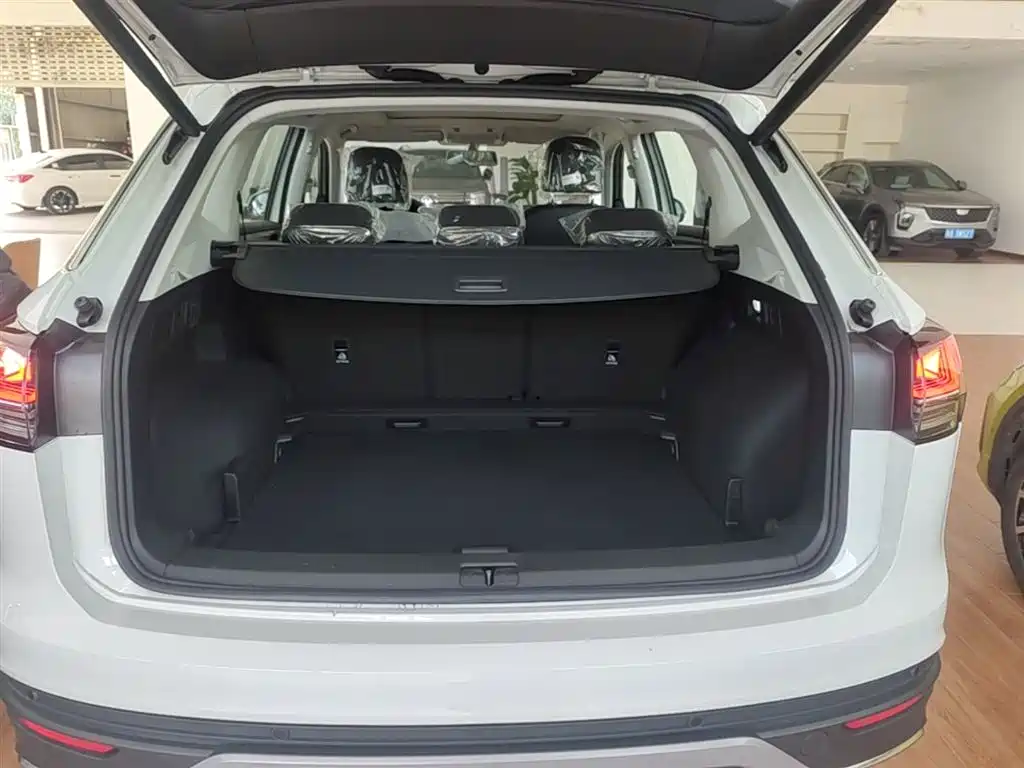 VOLKSWAGEN TANYUE