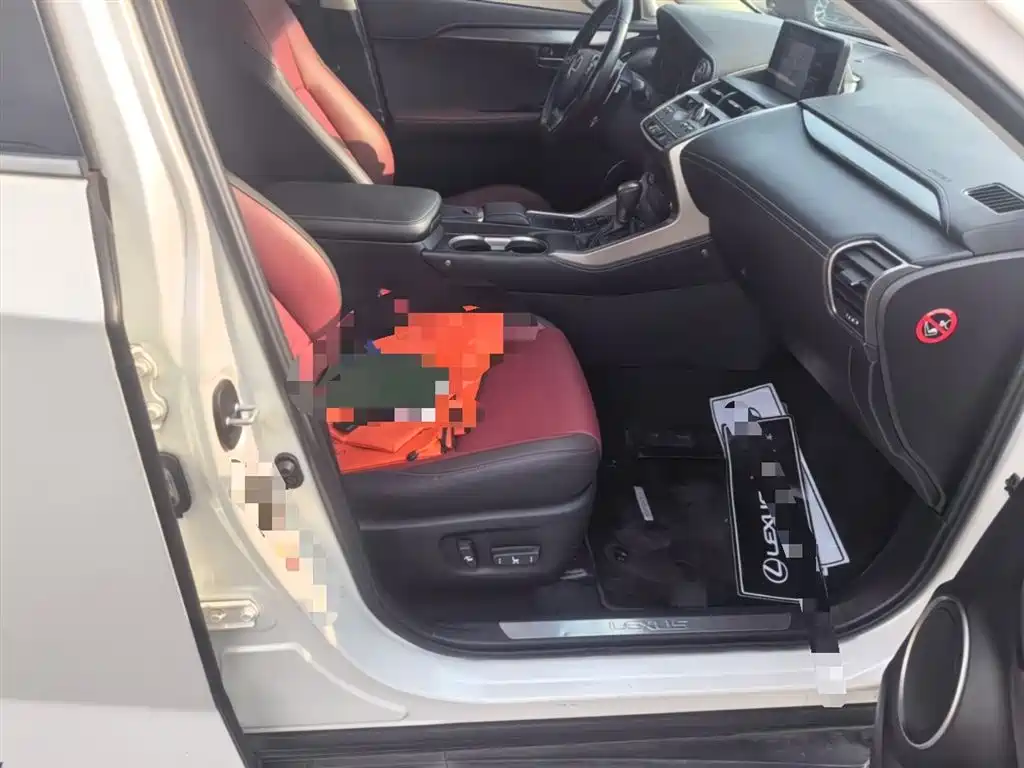 Lexus NX 2018 Model 300h FWD Fengshang Edition China V фото 25