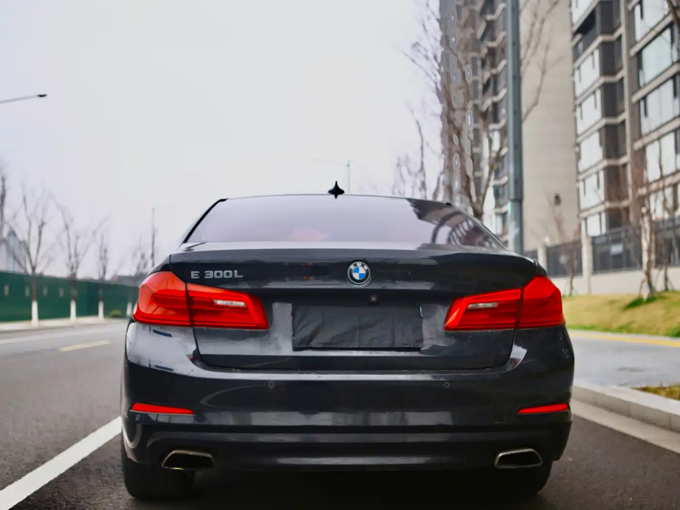 BMW 5 Series 2018 528Li Launch Special Edition фото 6