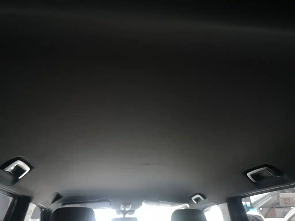Baojun Yueye Plus 2025 2026 301km Flagship
