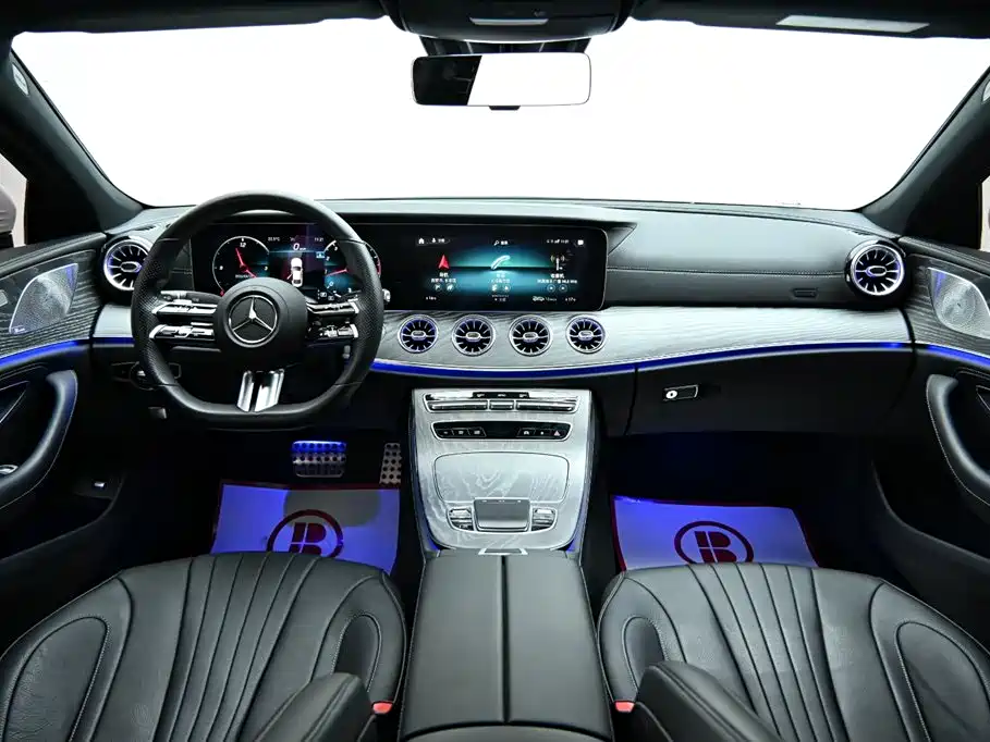 Mercedes-Benz CLS 2022 CLS 300 Luxury фото 13
