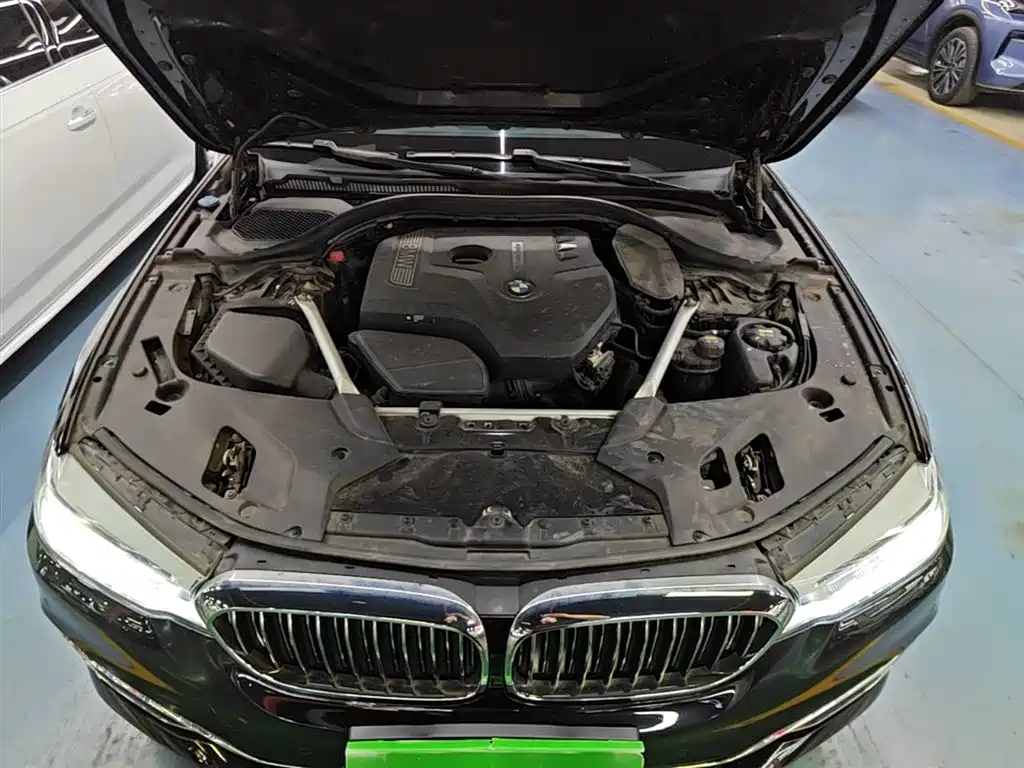 BMW 5 Series 2020 530Li Leading Luxury Package фото 20