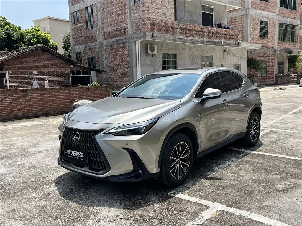 Фото 1 - Lexus NX