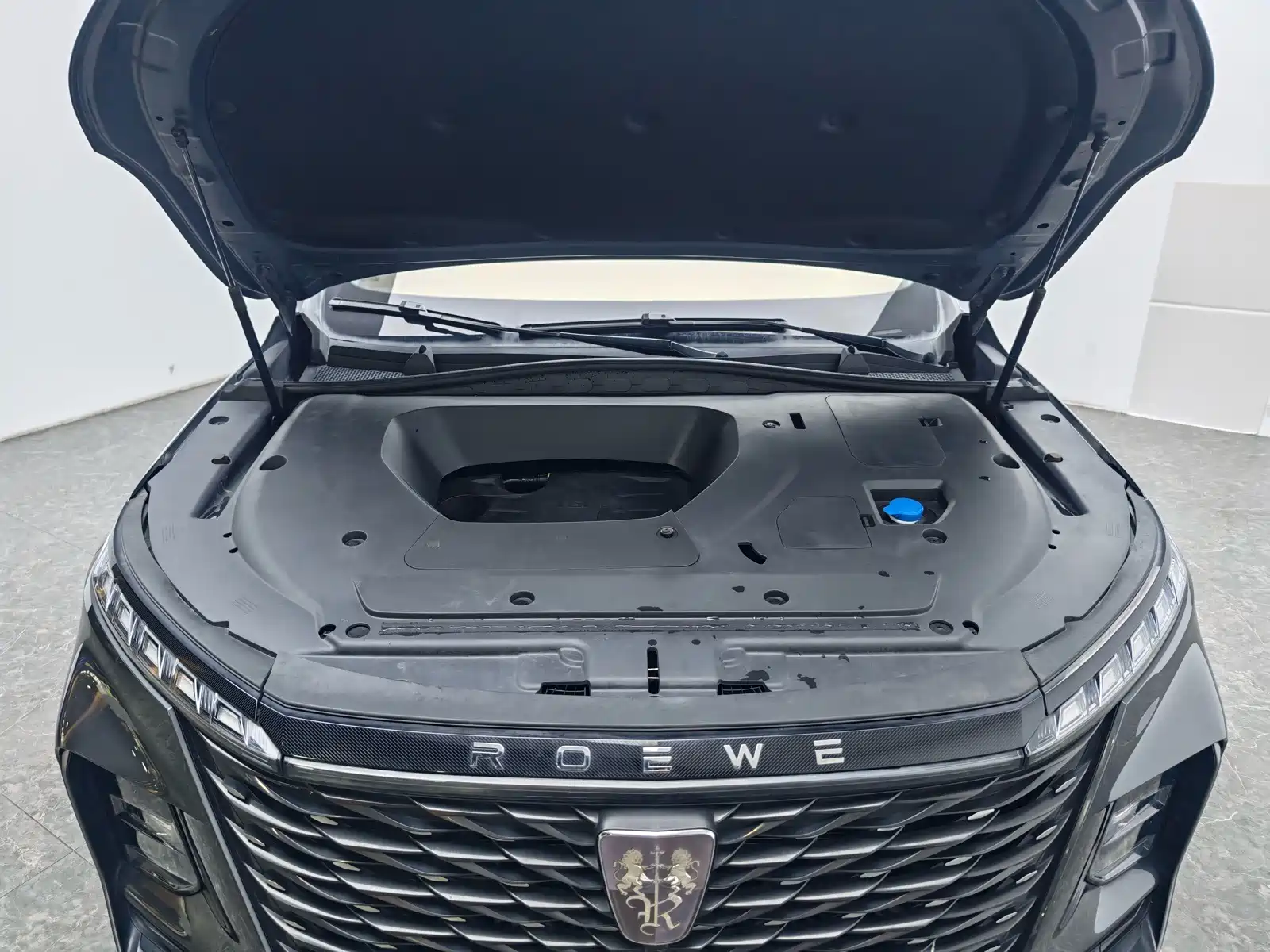 Photo 13 - Roewe RX5 MAX
