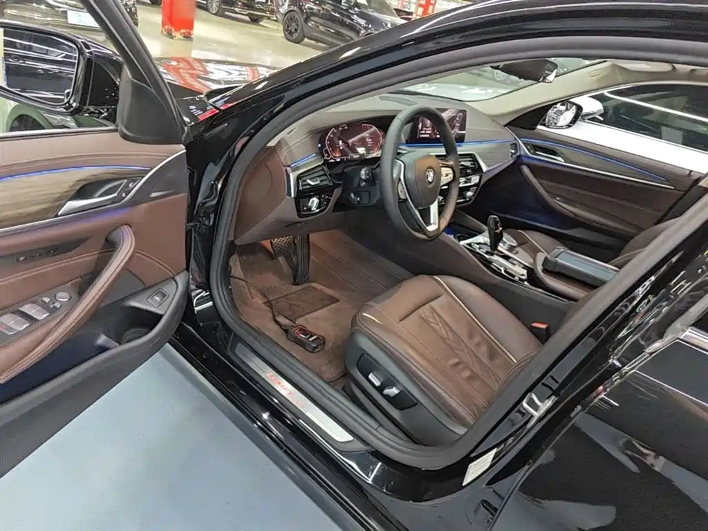 BMW 5 Series 2020 530Li Leading Luxury Package фото 16