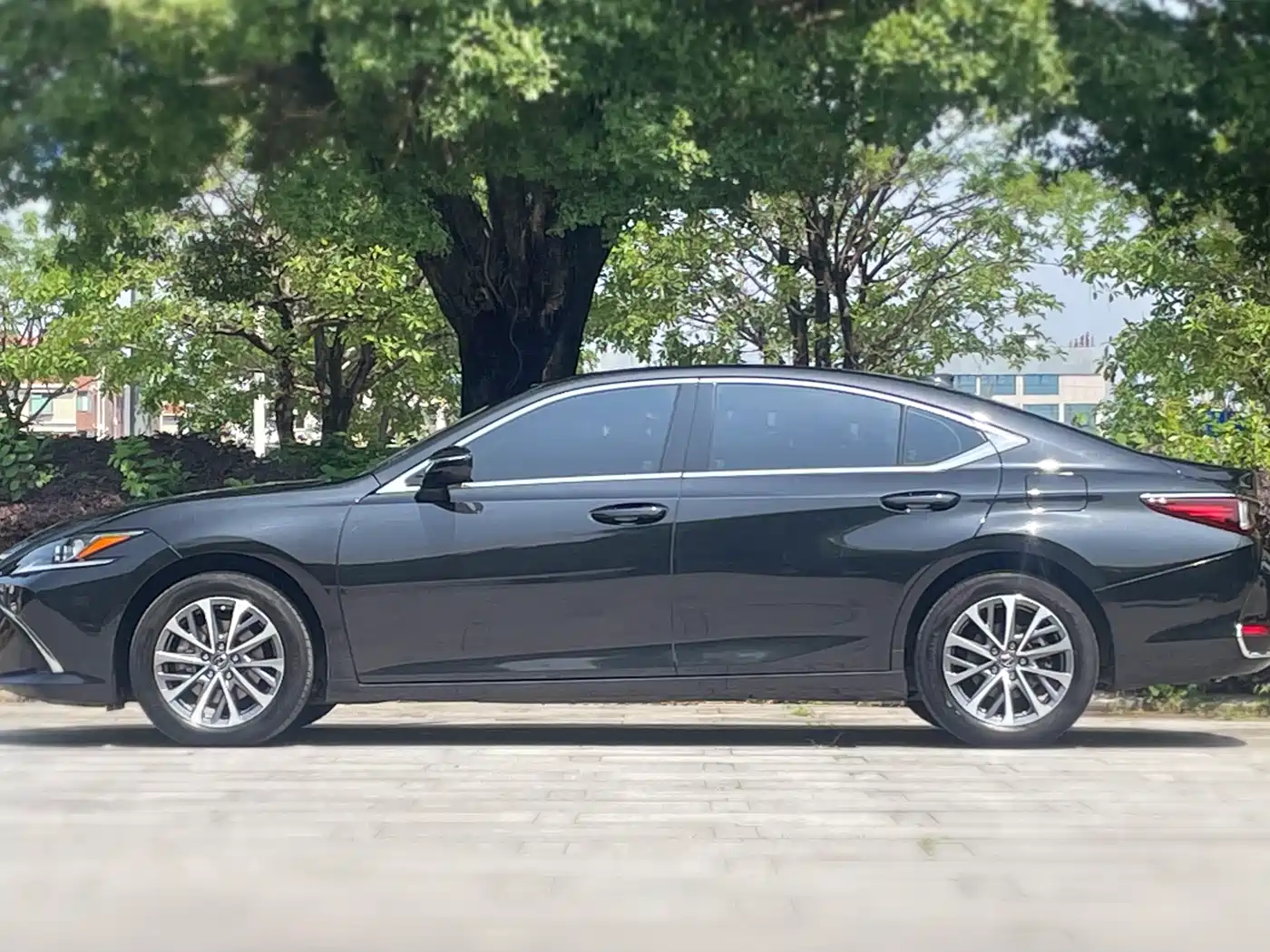 Lexus ES 2023 200 Excellence Edition фото 5