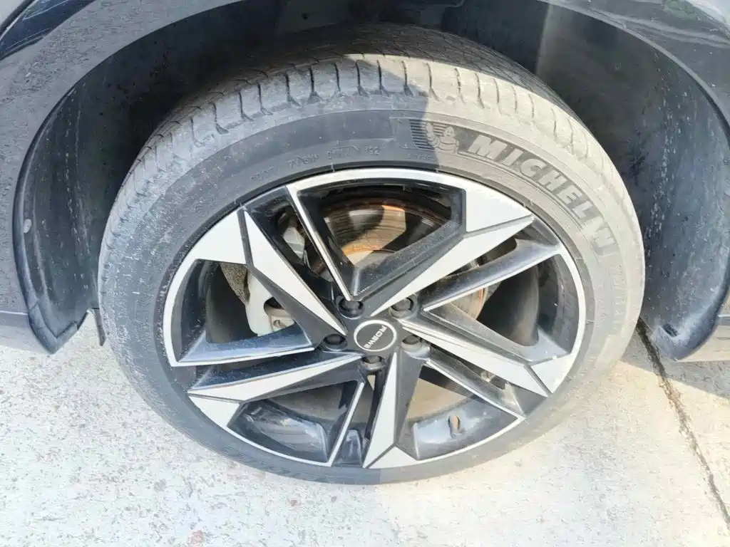 Roewe RX5 MAX 2022 2022 1.5T Auto Promising Premium Edition