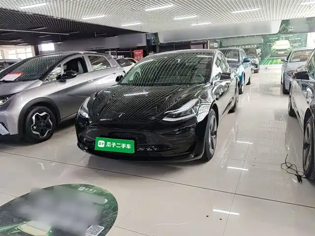 TESLA MODEL 3 2020