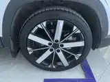 Фото 6 - Geely ICON