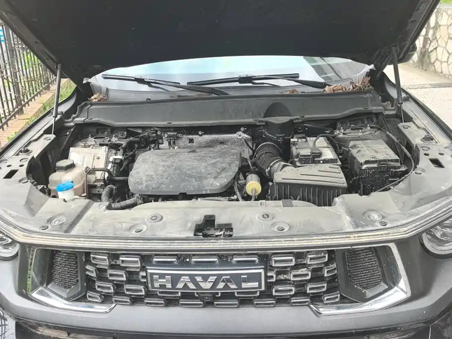 Haval Da Gou 2nd Gen 2024 2023 1.5T 2WD Trend & Wild Edition Plus