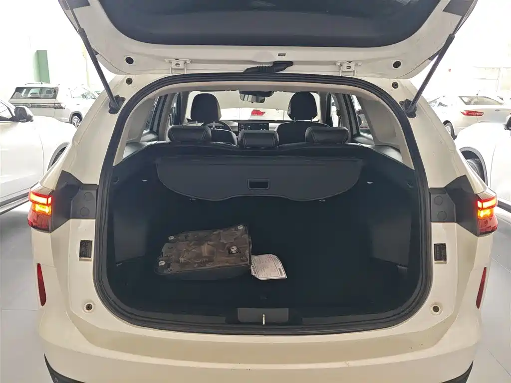 Haval H6 2021 3rd Generation 2.0T Auto AWD Max фото 15