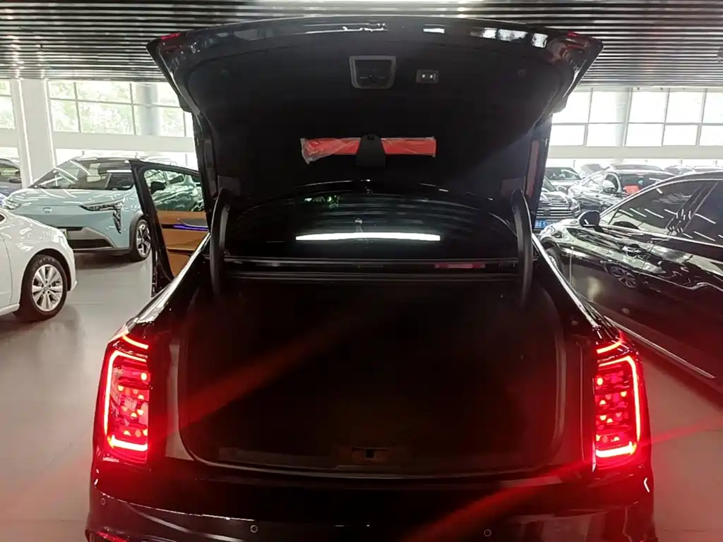 Hongqi H9 2025 2024 2.0T Qi Enjoy Private Fashion Edition