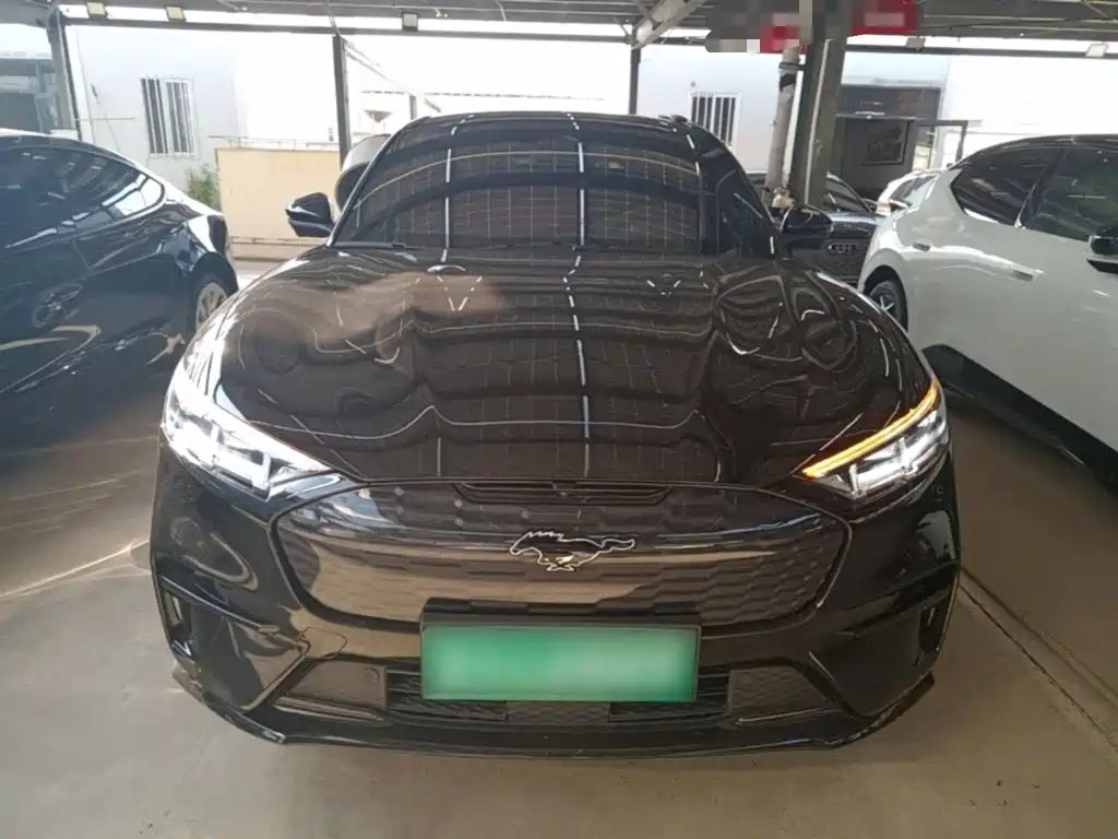 Ford Mustang Mach-E 2022 2021 GT