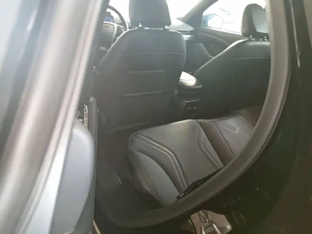 Ford Mustang Mach-E 2022 2021 GT