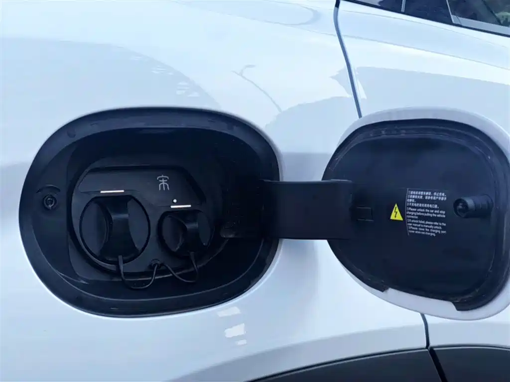 BYD Song L DM-i 2025 Smart Drive 160km Premium фото 20