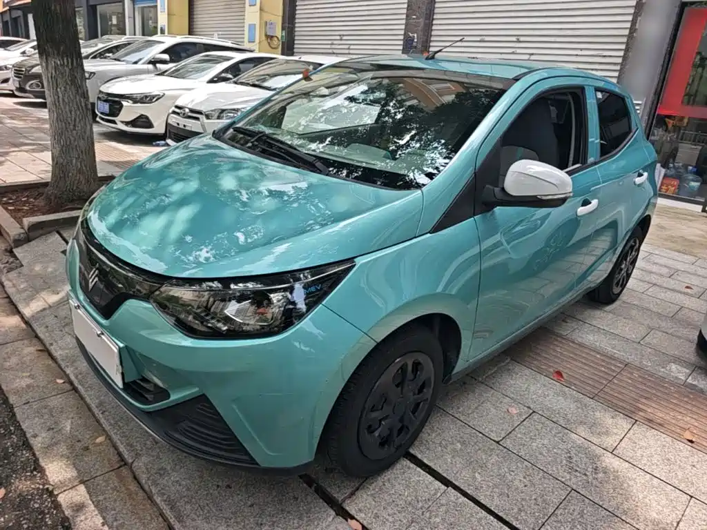 JMCG New Energy Little Kirin 2024 2023 Model Lucky Edition 201km Comfort