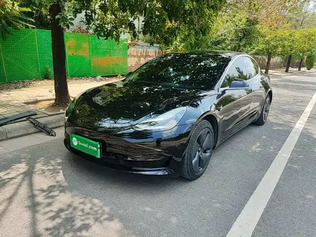 Tesla Model 3 2020