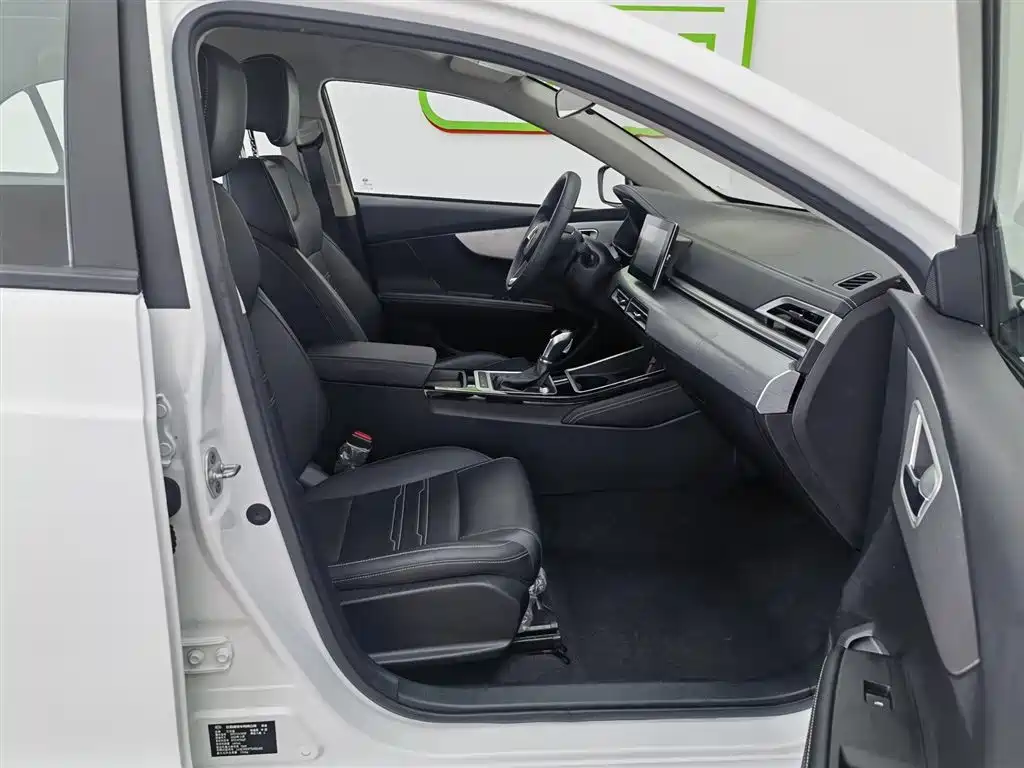BYD Qin 2019 1.5L Automatic Luxury Edition фото 23