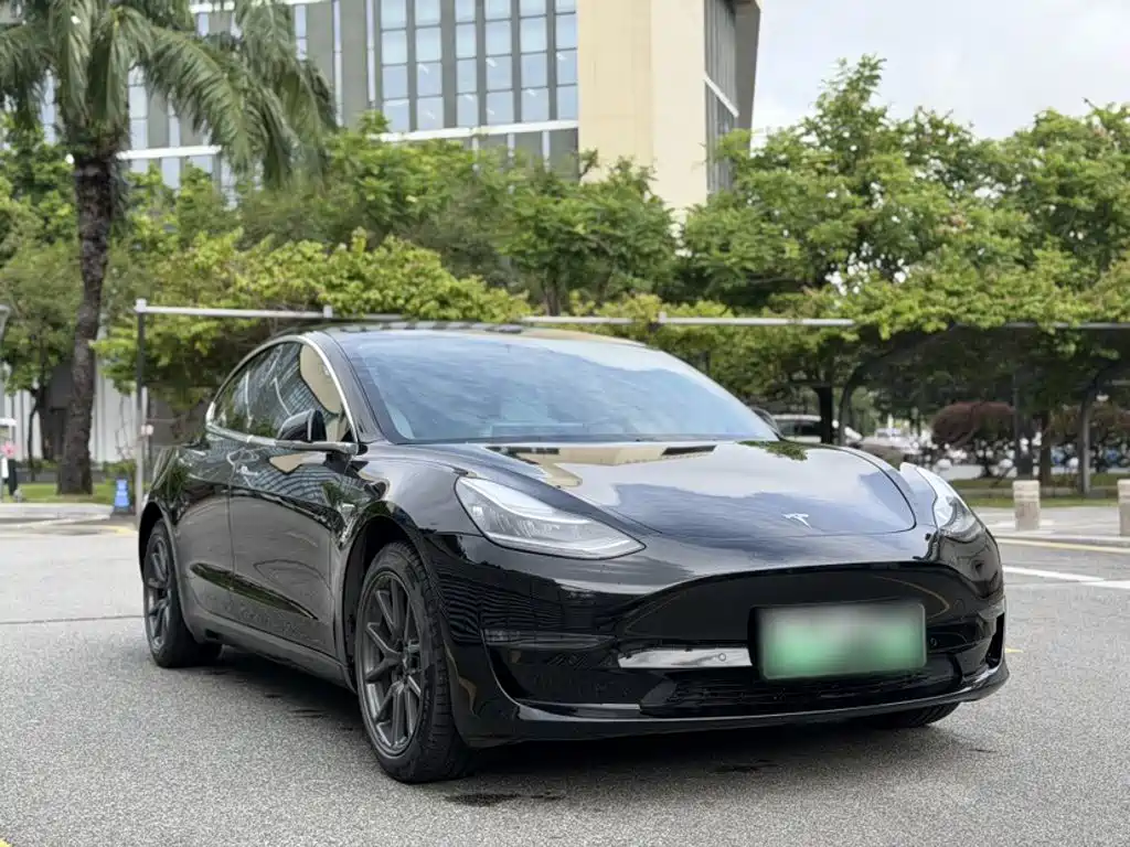 Tesla Model 3 (Import) 2019 2019 Long Range RWD Version