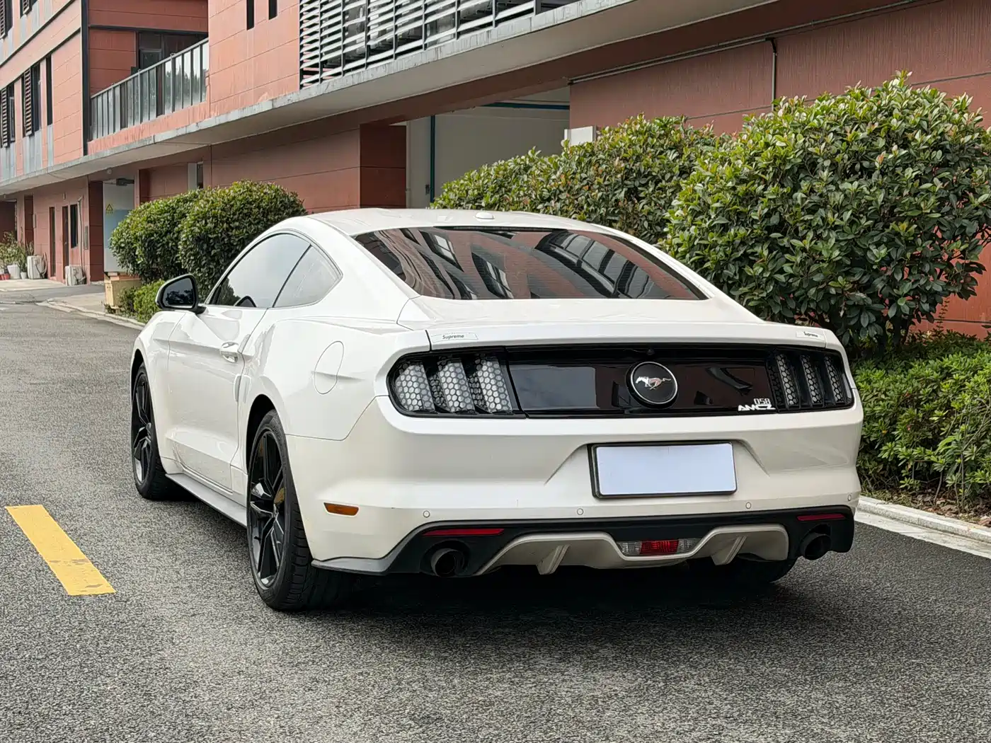 Ford Mustang 2017 2.3T Performance Edition фото 12