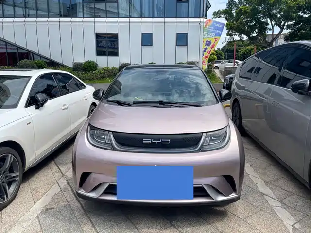 BYD Dolphin 2022