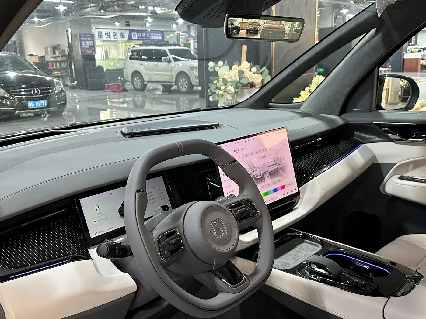 ZEEKR EXTREME KRYPTON 009