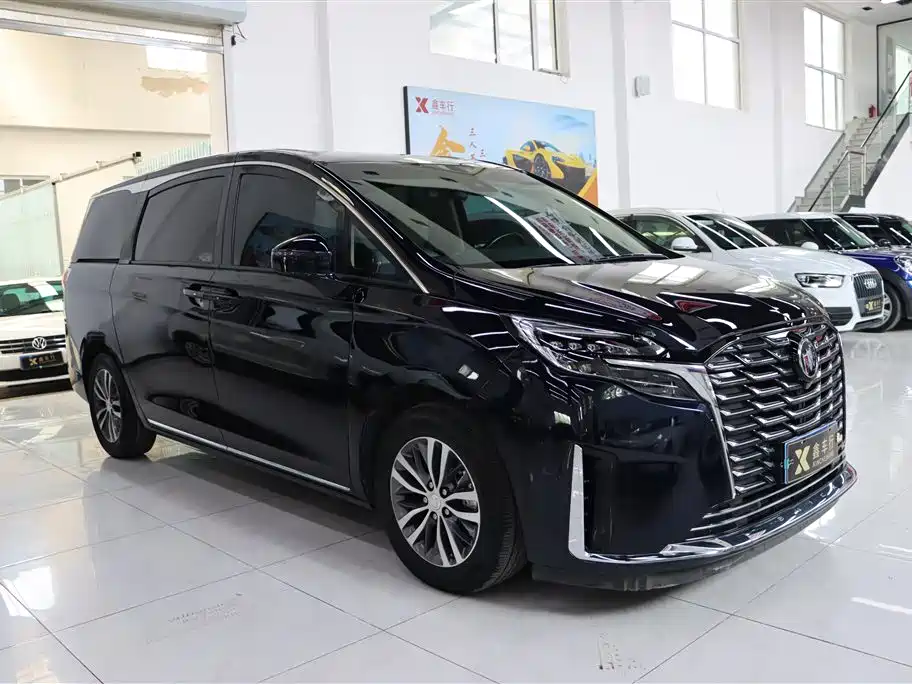 Buick GL8 2023 ES Landmaster Exclusive фото 3
