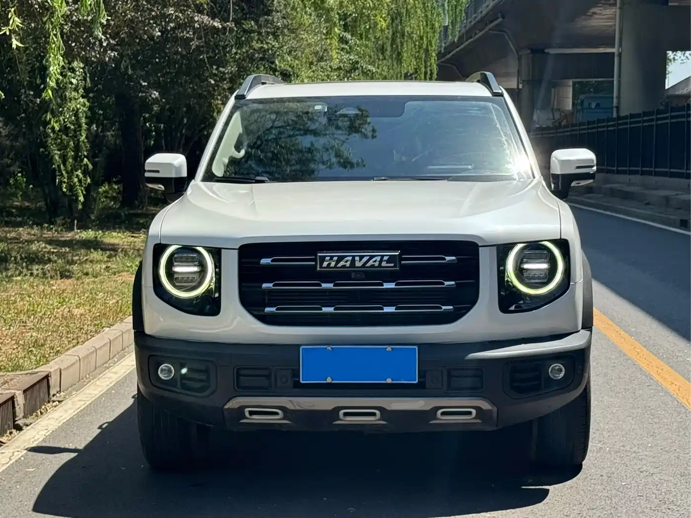 Haval Big Dog 2021 1.5T DCT 2WD Border Collie Edition фото 2
