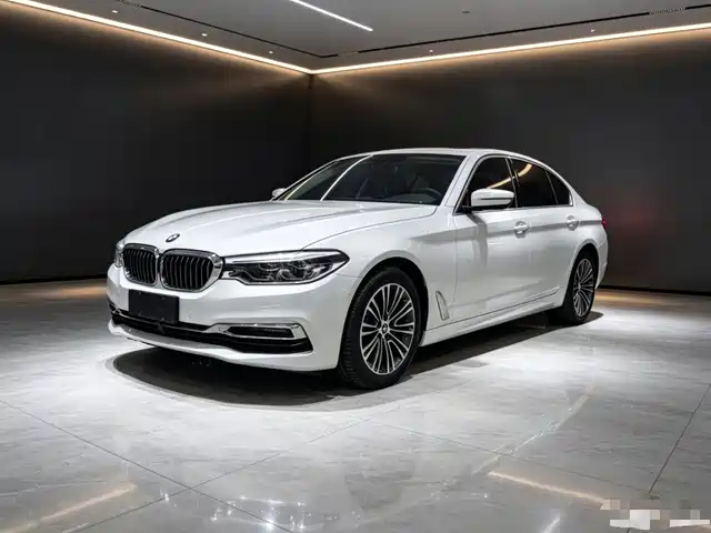 BMW 5 Series 2019