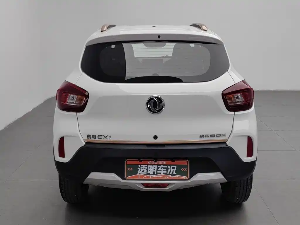 Dongfeng Yipai Nano BOX 2023 2022 Wind Chaser Edition 331KM Standard