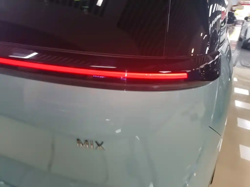 ZEEKR MIX 2026 2025 Smart Driving Edition