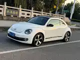 صورة 1 - Volkswagen Beetle