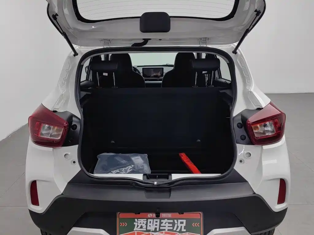 Dongfeng Yipai Nano BOX 2023 2022 Wind Chaser Edition 331KM Standard