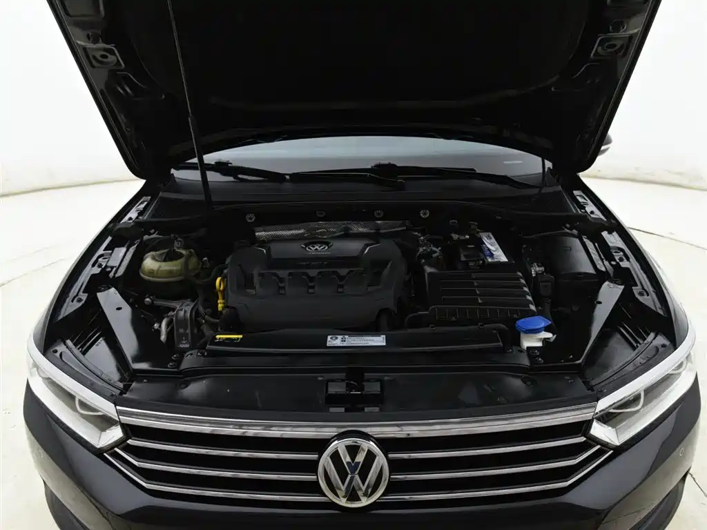 Volkswagen Magotan 2019 330TSI DSG Luxury China V фото 12