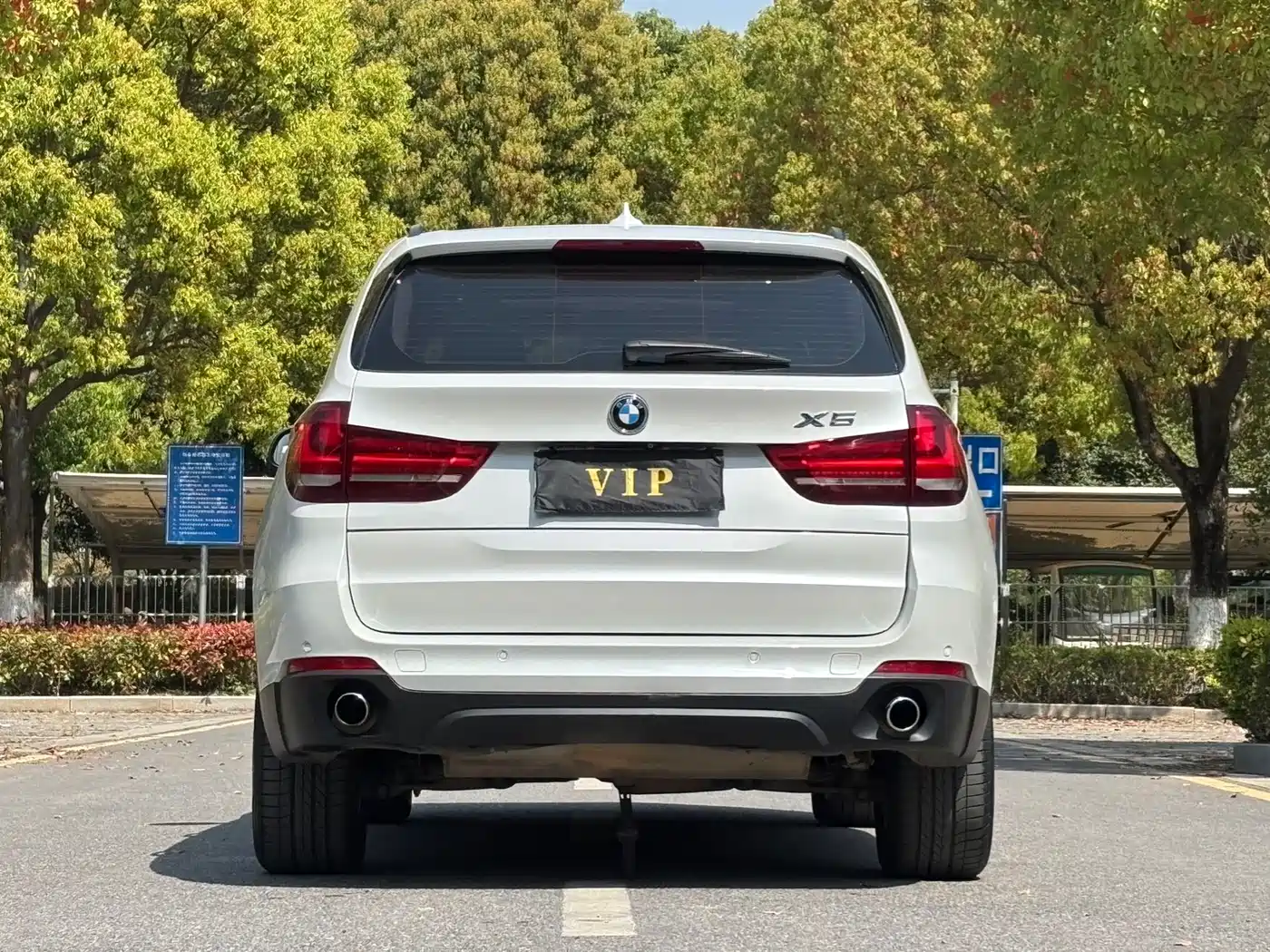 BMW X5 (Import) 2014 xDrive35i Elegance фото 5