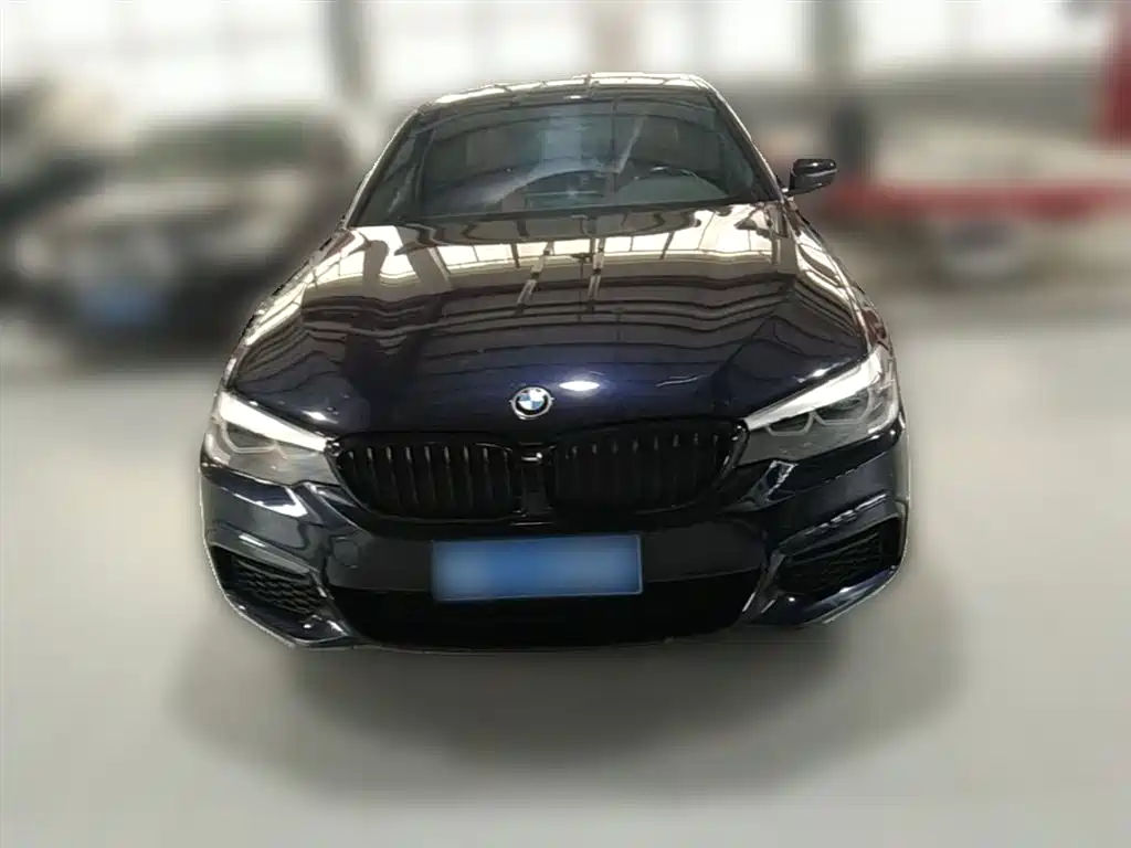 BMW 5 Series 2019 530Li Leading M Sport Package фото 3