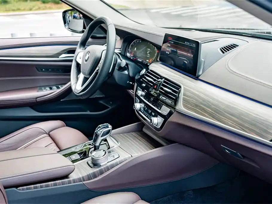 BMW 5 Series 2020 530Li Premium Luxury Package фото 20