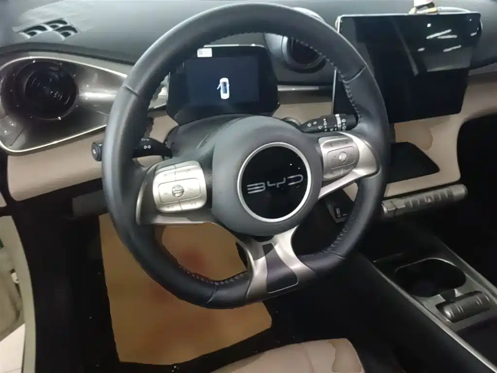 BYD Dolphin 2023 420km Fashion Edition фото 11